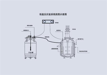 低溫反應釜-反應容器定制
